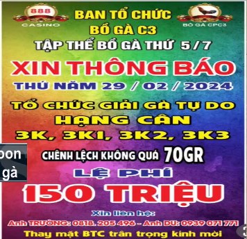 Giải Đá Gà Tự Do tại bồ CPC3 ngày 29-02-2024